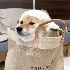 俄罗斯艳女色情A片
